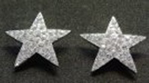 Star Crystal Earrings *NEW* NEW!! Rhinestone star earrings that are 3/4 inches in size.